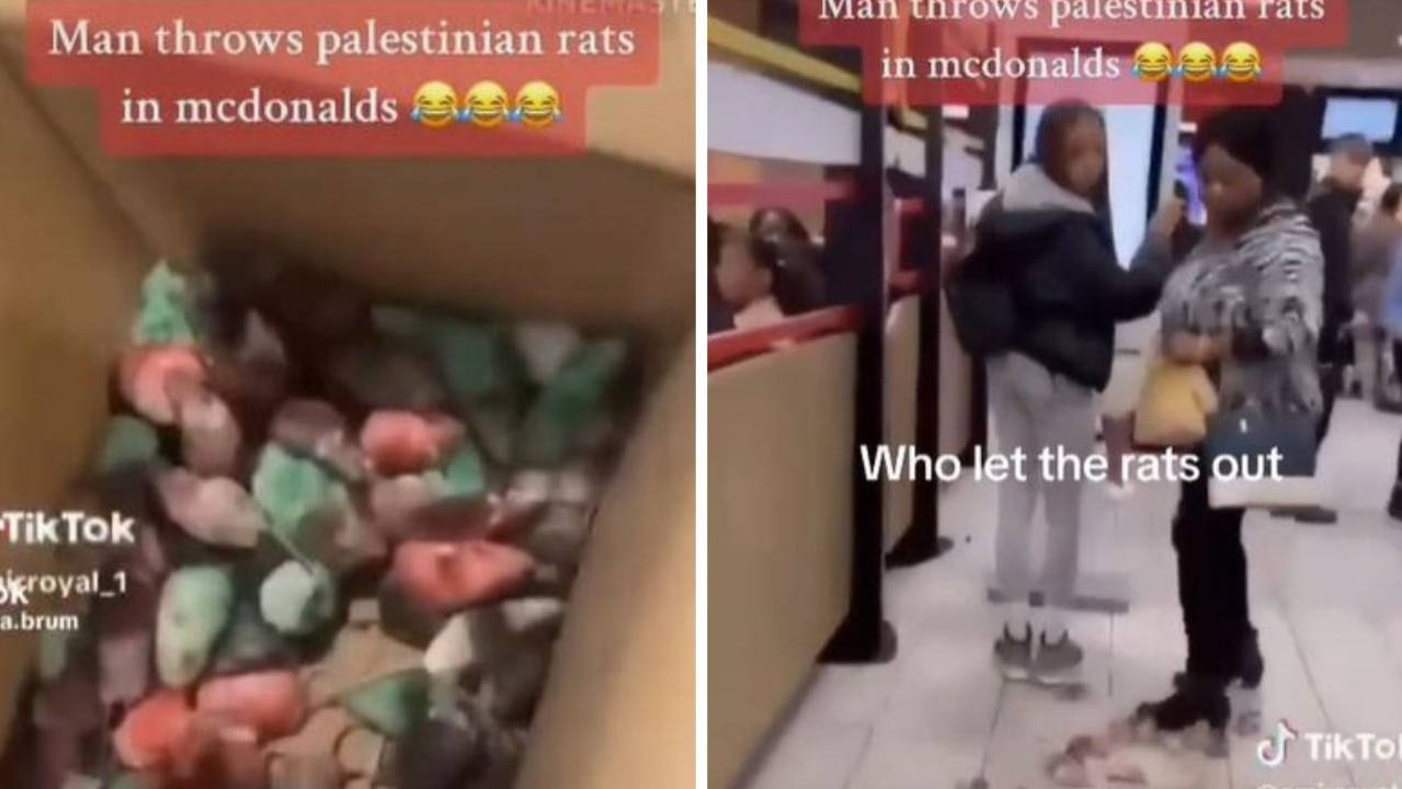 Pro-Palestinian activist dumps box of rats in McDonald’s