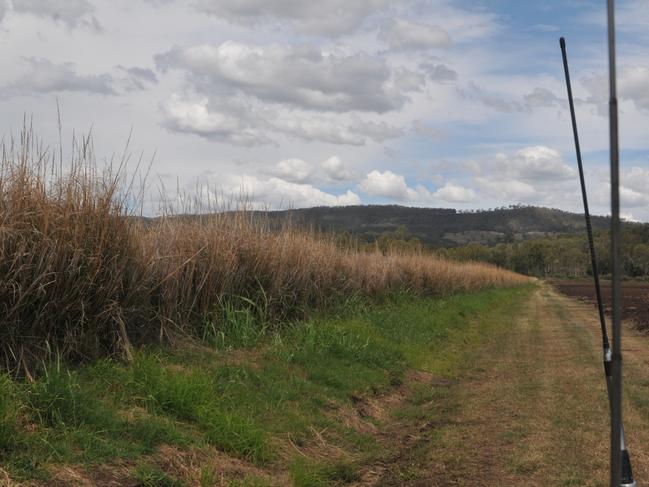 Adaptable: Mulgowie has introduced roughness structures to help slow future floods and minimise damage. 