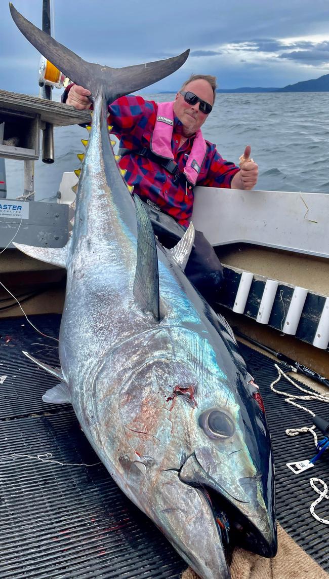 Swansea fisherman Ashley Hallam with the 140kg bluefin caught in 16m of water in Great Oyster Bay. Picture: supplied