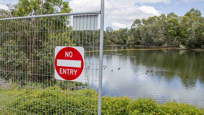 Black Swan Lake yesterday. Picture: Jerad Williams