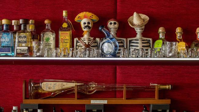 Just a few of the top notch tequilas on offer. Picture: Jerad Williams