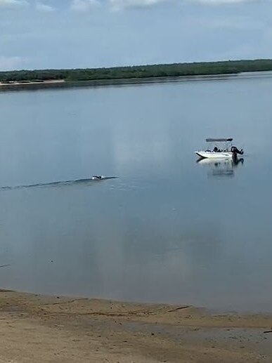 A fisho made a ‘silly’ swim to his boat at Crab Claw Island. Picture: Gino Luglietti