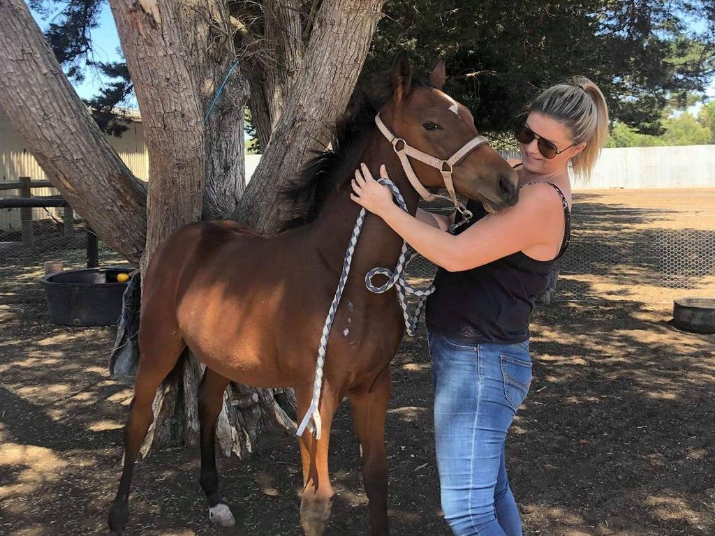 Jessica Schneider handed 10-year ban on owning horses after animal ...