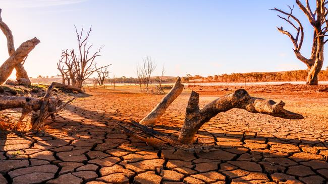 The world is now cooler than it was, on average, at the end of last century.