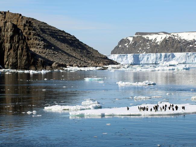 Adelie penguins on sea ice next to Comb Island, Danger Islands, Antarctica. Picture: AFP/Louisiana State University/Michael Polito
