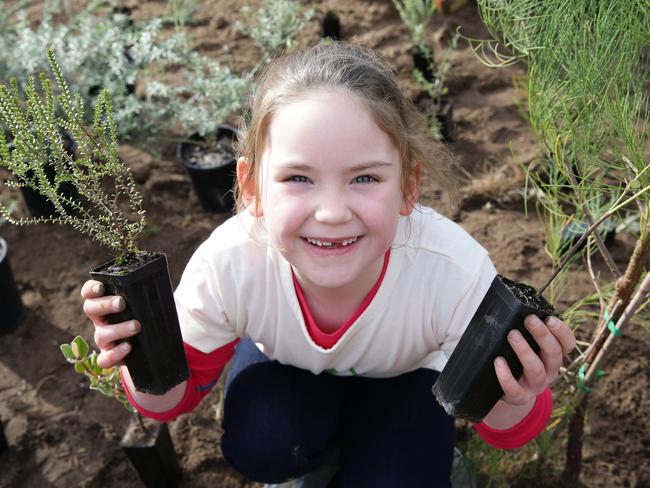 Planting a tree is often the first acto of volunteering for many children in their communities.