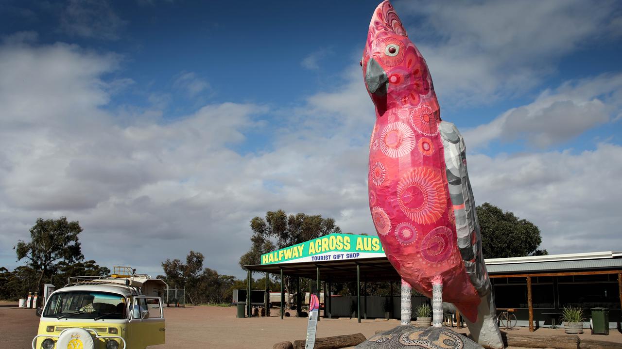 The Big Galah in Kimba. Picture Dean Martin