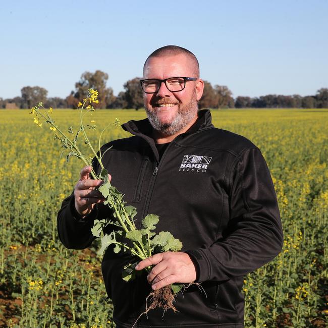 Ashley Fraser of Baker Seeds at Rutherglen. Picture: Yuri Kouzmin