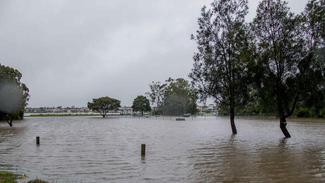 A flooded dog park along at Robina Parkway. Picture: Jerad Williams
