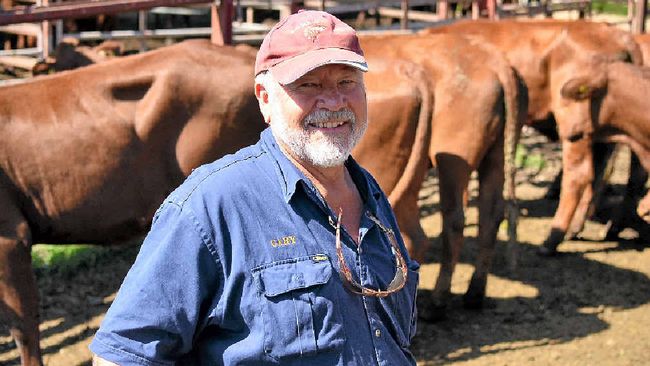 Tenterfield cattleman makes tough call to sell breeders | The Weekly Times