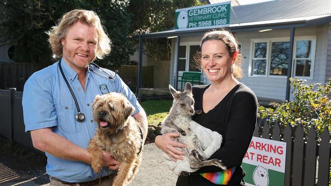 Number 1: Gembrook Veterinary Clinic vets Tom and Kathy Cook with Indy the joey and Dr Seuss the dog. Picture: Ian Currie