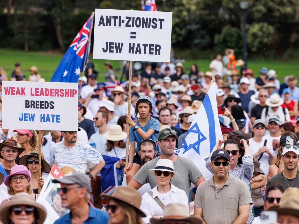 Protesters waves flags and signs at the rally. Picture: NCA NewsWire / David Swift