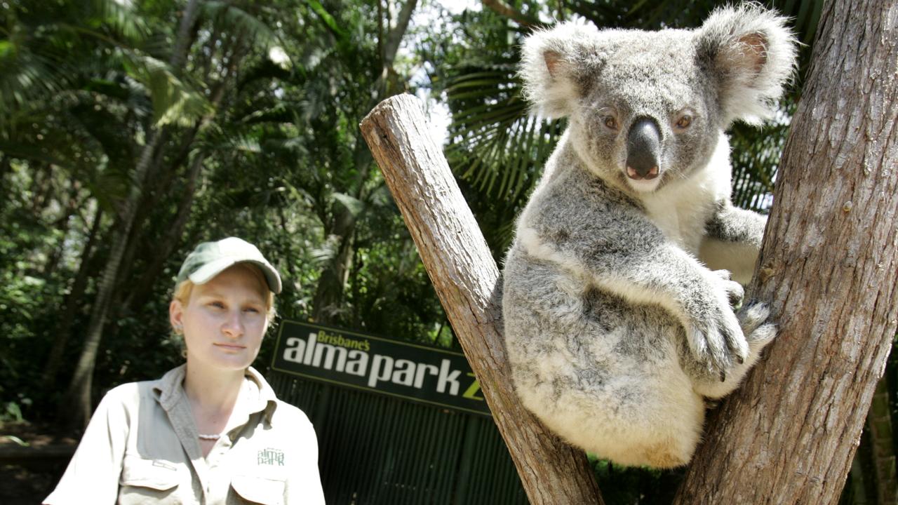 Alma Park Zoo. Pic: Sarah Marshall