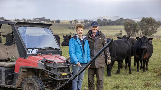 Leal and Tim Squire-Wilson pictured with their Angus cattle. Picture: Zoe Phillips