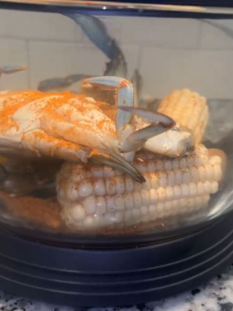 Viewers claimed the video was ‘cruel’ and ‘inhumane’. Picture: TikTok/contentwithcee