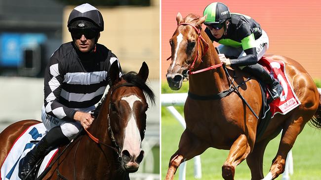 Stakes-grade racing awaits in-form gallopers Disneck (left) and Accredited. Pictures: Jeremy Ng / Getty Images