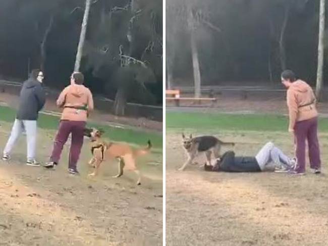 Women filmed fighting at Sydney dog park. Picutre: Instagram@browncardigan/supplied