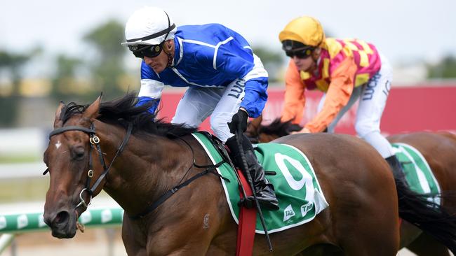 Race 1 winner  Ligreb (9) riden by Dan Griffin at the Gold Coast Turf Club. (Photos/Steve Holland)