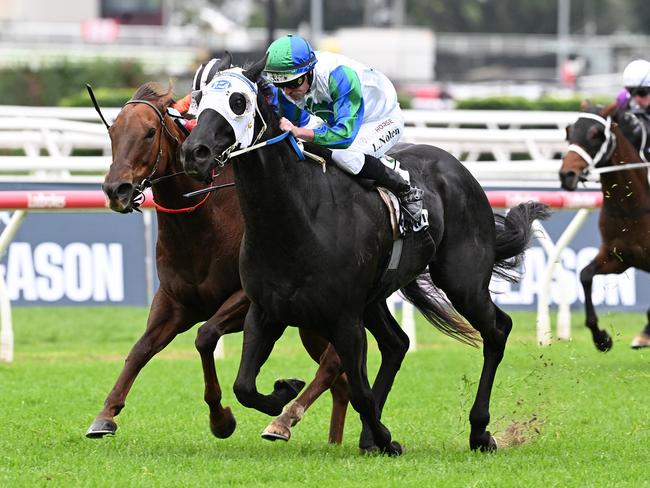 I Wish I Win exacts revenge on Bella Nipotina to win the Group 1 Kingsford Smith Cup for Luke Nolen. Picture: Grant Peters - Trackside Photography.