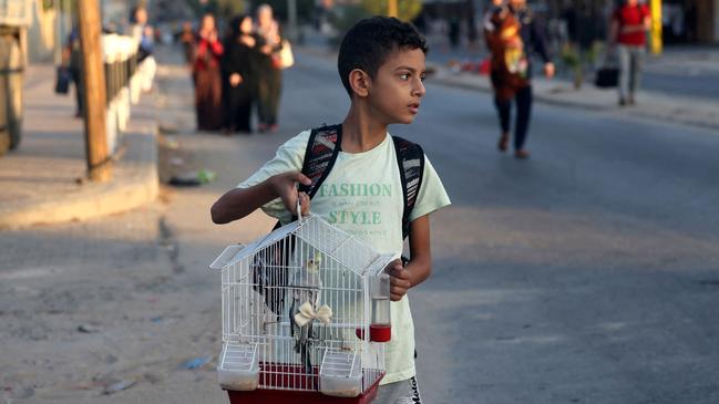 A Palestinian boy carries his pet bird in a cage as families leave their homes following an Israeli attack on the Rafah refugee camp, in the southern of Gaza Strip. Picture: AFP