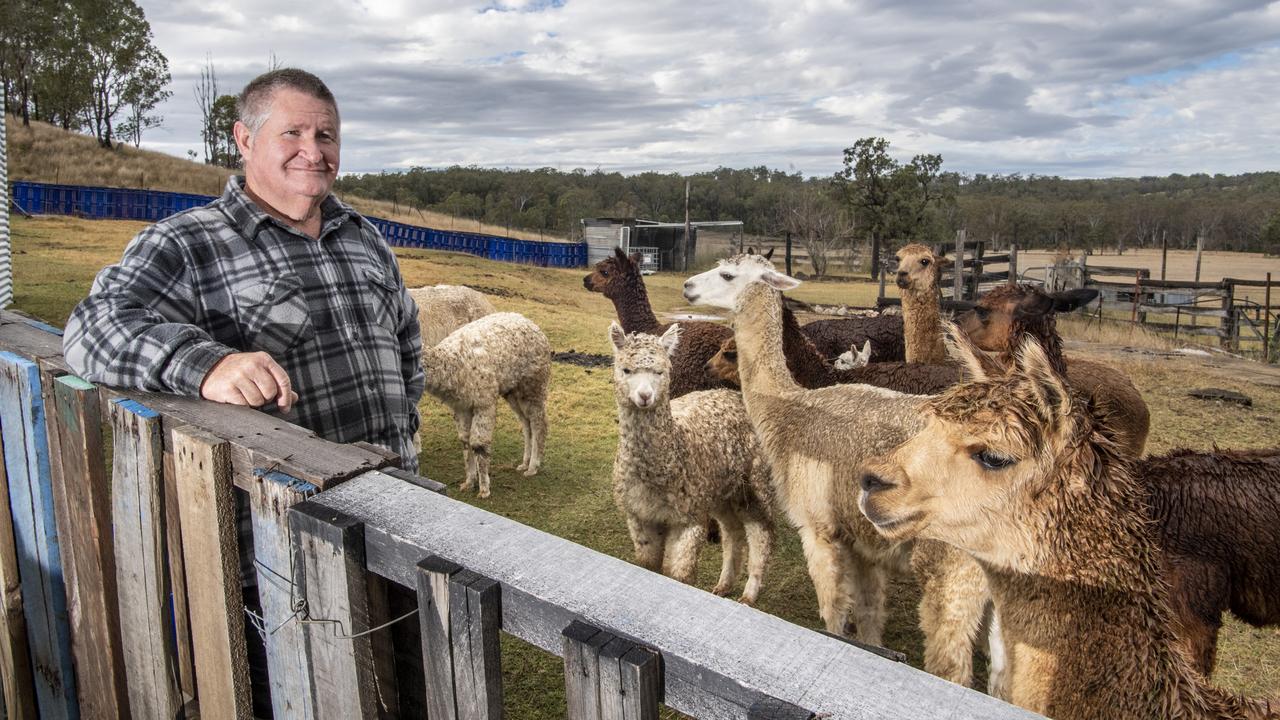 Bruce Sims is upset over losing some of his alpaca herd to dog attacks in Geham. Picture: Nev Madsen.