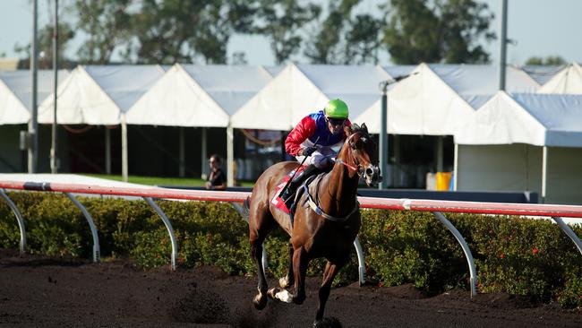 Jockey Brendon Davis and Captain Punch win last year’s Palmerston Sprint. He will resume in the Betfair Handicap (1100m)