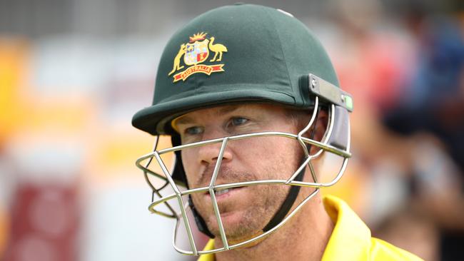 David Warner is back in the good books with the Australian public. Picture: Robert Cianflone/Getty Images