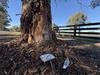 Adelaide Hills community rocked by sickening fatal crash
