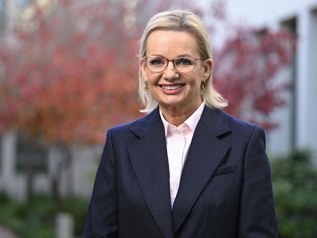 Liberal Party leader Sussan Ley at Parliament House in Canberra. Picture: Martin Ollman