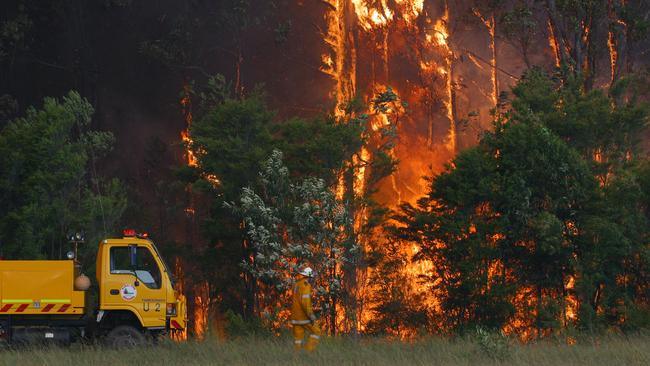  The State Government is to blame for the bushfire disaster.