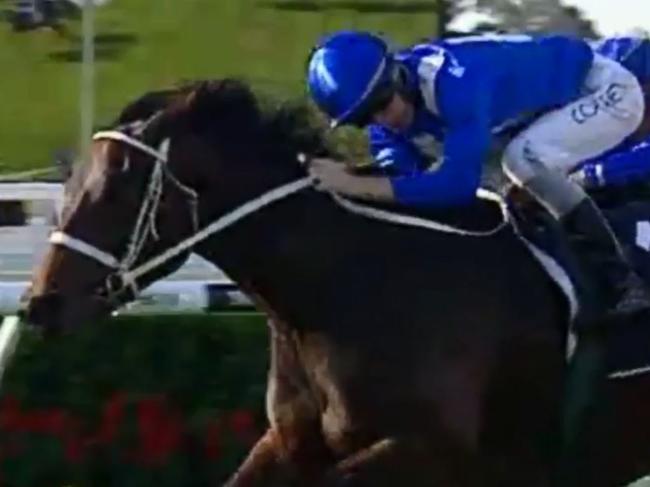 Winx Debut WIn - 4th June 2014 - Warwick Farm