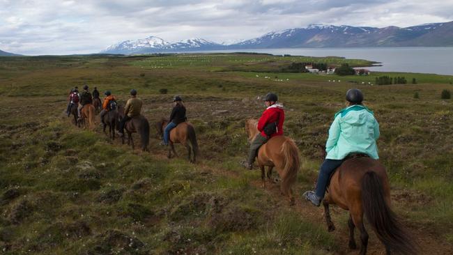 The experienced horse rider was riding in Iceland when the accident happened. File picture: Brian Gratwicke