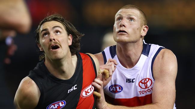 Essendon's Joe Daniher and Adelaide's Sam Jacobs at a boundary throw in. Pic: Michael Klein