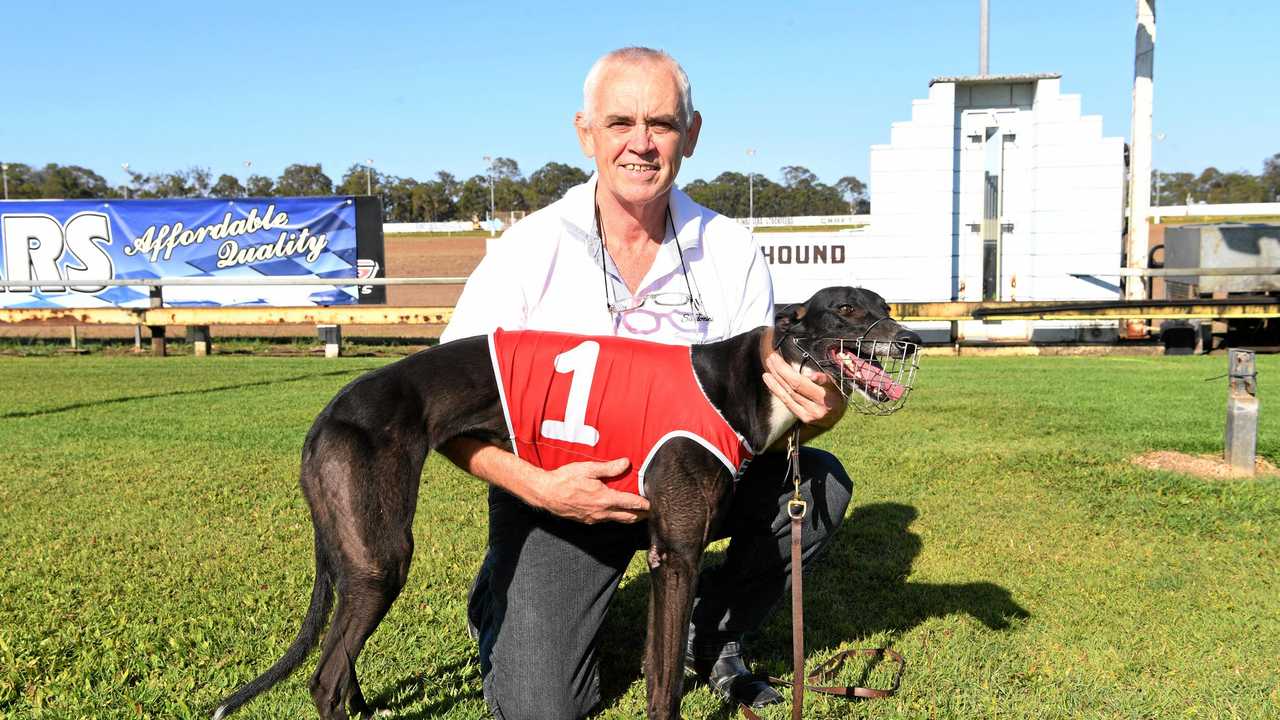 RACING AHEAD: Bundaberg Race Club vice-president John Watts with Sharp Azz El in 2017. Picture: Paul Donaldson BUN160917DOG4