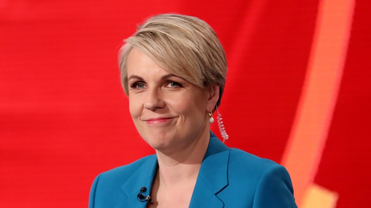 Queensland can become a renewable energy superpower, says Plibersek