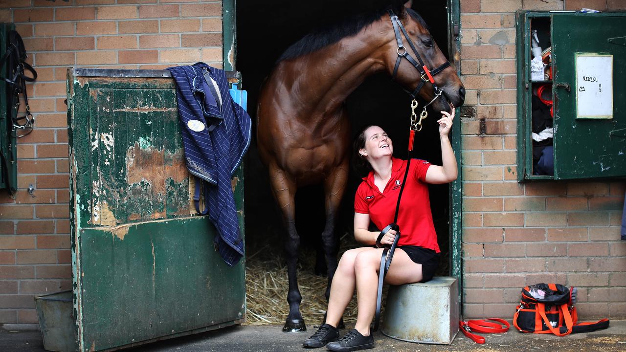 Lady and the champ Redzel … an epic love story moves the mountain | The  Australian