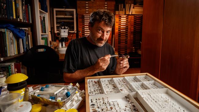 Entomologist Richard Glatz with some of his insect collection at Macgillivray, Kangaroo Island. Picture Matt Turner