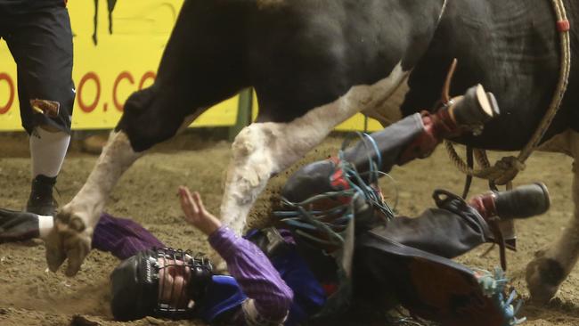 Gray suffered broken ribs, a bruised aorta and collapsed lungs after a bull threw him and stepped on his chest during competition Thursday night at the Casper Events Center. (Alan Rogers/The Casper Star-Tribune via AP)