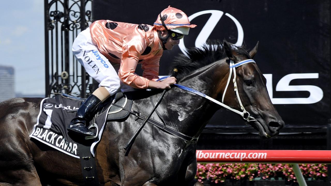 Australian racing’s greatest sprinter Black Caviar, who was unbeaten in 25 race starts, died after giving birth.