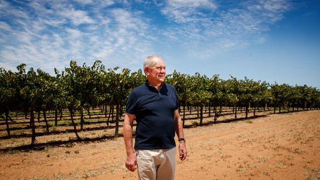 Riverland Wine executive chairman Chris Byrne says measures have been put in place to protect against coronavirus. Picture MATT TURNER.