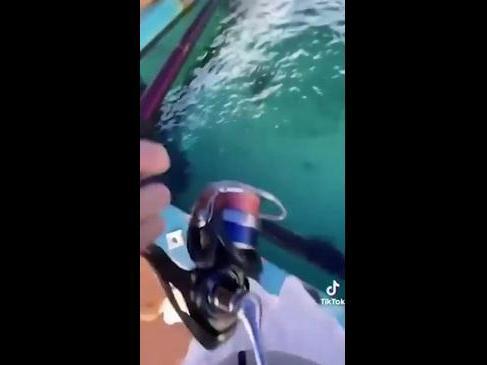 Teenagers film themselves fishing out of Perth’s biggest aquarium