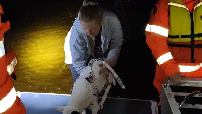 The team in Condobolin successfully performed multiple flood rescues, including the retrieval of a furry friend from the dangerous flood waters. , Picture: NSW SES