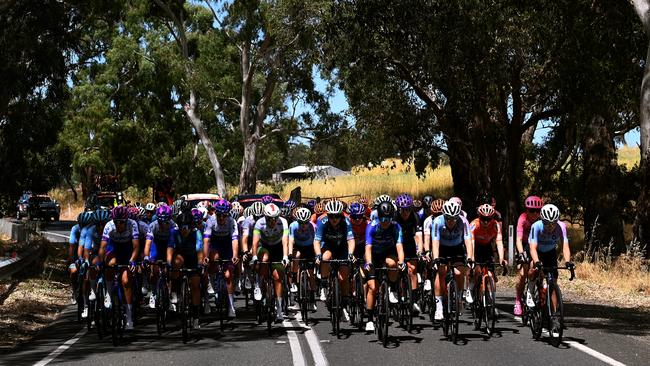 The peloton on its way to Uraidla. Picture Tim de Waele/Getty Images