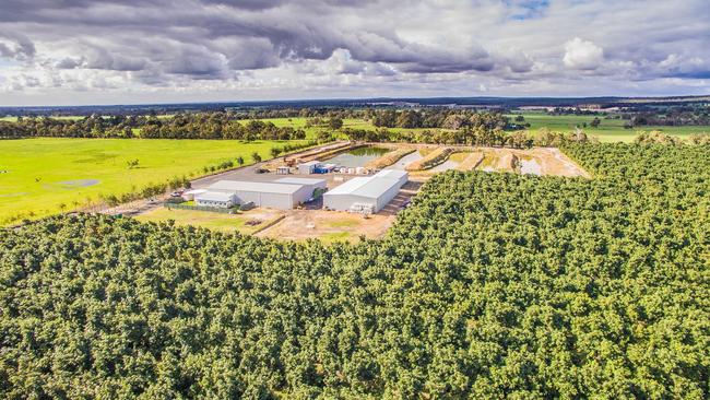 Jasper Farms at Busselton in Western Australia.