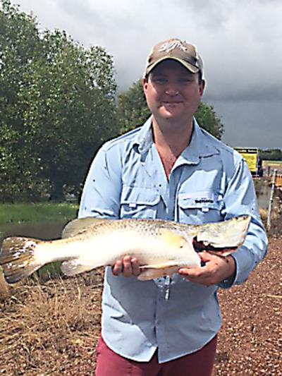 T<s1>he barra are biting at the South Alligator River culvert, and the Aurora Kakadu staff – including chef Sebastian Jones, pictured here with a 71cm culvert barra – are having a ball.</s1>                                             <s1/>