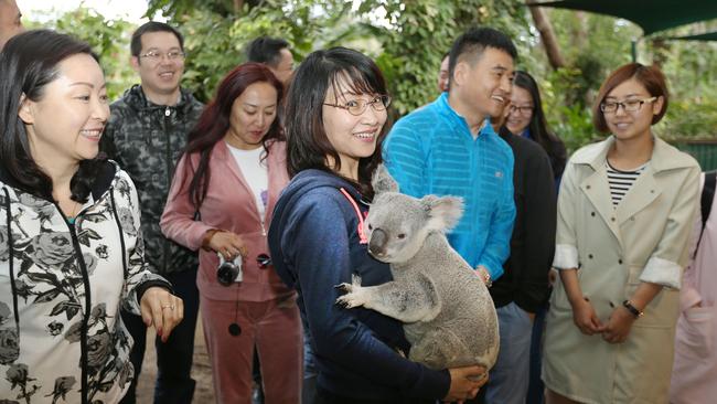 Once in Australia, the average Chinese tourist will take an estimated two or three domestic flights. Picture: Luke Marsden.