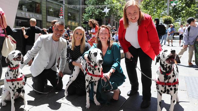 Jenny Aitchison revealed her fear of dogs but mastered that to help lobby for an end to puppy farming. Picture: Tim Hunter