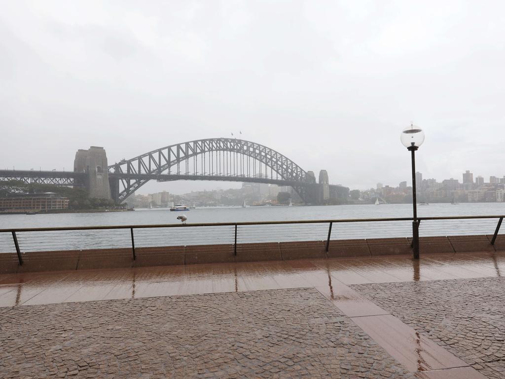 Sydney has been empty. Picture: David Swift.