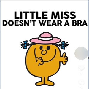 Bullies have hijacked the popular Little Miss/Mr Men books. Picture: TIKTOK