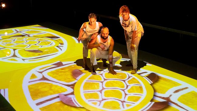 See Saltbush, an interactive show.